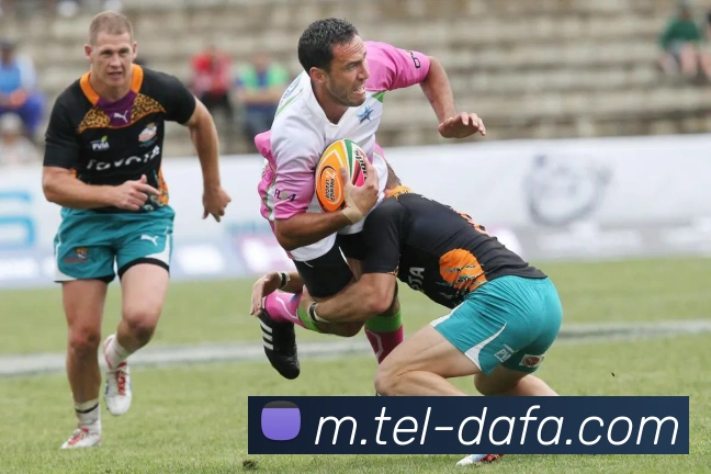 大发彩票APP 封面图